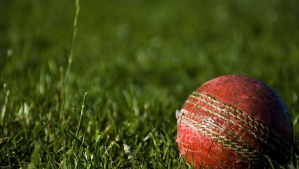 Cricket